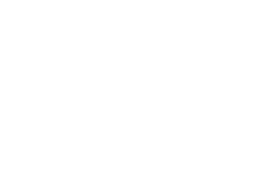 Lotus Flow — Tecnologia & Gestão